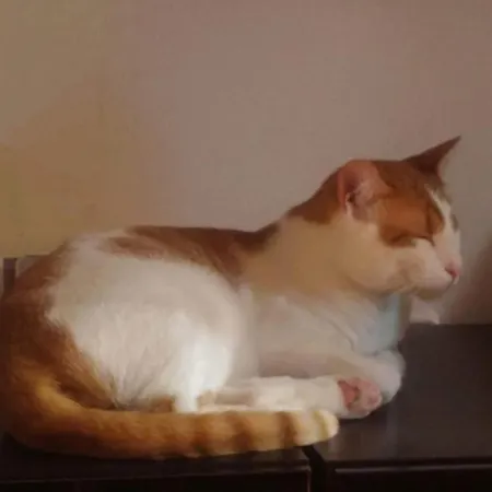 Centro, Ideal Familias, Profesores Y Teletrabajo Colindres